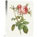 Global Gallery 'Rosa Centrifolia Foliacea' by Pierre Redoute Painting Print on Wrapped Canvas Metal | 40 H x 30 W x 1.5 D in | Wayfair