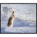 Global Gallery 'White-Tailed Jackrabbit' by Shlomo Waldmann Framed Photographic Print Canvas, Wood in Black | 28 H x 35 W x 1.5 D in | Wayfair