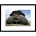 Global Gallery 'Galapagos Giant Tortoise on Caldera Rim, Alcedo Volcano, Galapagos Islands' Framed Photographic Print Paper in Brown | Wayfair