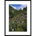 Global Gallery 'Rockhopper Penguin Nesting Colony, Gough Island, South Atlantic' Framed Photographic Print Paper in Blue/Brown | Wayfair