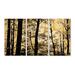 Stupell Industries Golden Birches in the Forest Landscape 3 Piece Photographic Print Wall Plaque Set in Black/Brown/Green | Wayfair