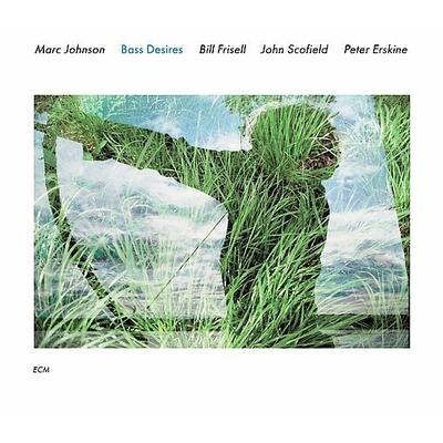 Bass Desires [Slipcase] by Marc Johnson (Bass) (CD - 08/26/2008)
