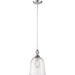 Nuvo Lighting 65862 - 1 Light Polished Nickel Clear Seeded Glass Shade Pendant Light Fixture (FERN 1 LIGHT LARGE PENDANT)
