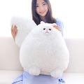 Winsterch Giant Cat Soft Toy,Cat Teddy Stuffed Animal Toy,Plush Cat Teddy for Kids Boys and Girls,Large Stuffed Animal Birthday Gifts (50 CM, White)