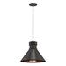 Nuvo Lighting 32857 - DORAL 1 LT LARGE LED PENDANT Indoor Pendant LED Fixture