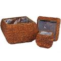 Bay Isle Home™ Square Seagrass Wicker 3 Piece Basket Set Seagrass in Brown | 11.5 H x 8 W x 8 D in | Wayfair B21AA8F4AF134EE7AD5071B57C91B87A