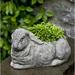 August Grove® Sachs Bunny Cast Stone Statue Planter Concrete in Blue/Black | 7.25 H x 8 W x 12.25 D in | Wayfair BF1F81BE584B41CC8B6B8BD12C987A9C