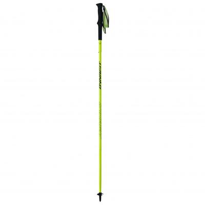 Dynafit - Vertical Pole - Trailrunning Stöcke Gr 125 cm general lee /blau Image