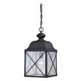 Nuvo Lighting 65624 - 1 Light 19" Textured Black Clear Seed Glass Shade Hanging Lantern Light Fixture (WINGATE 1 LT OUTDOOR HANGING)