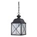 Nuvo Lighting 65624 - 1 Light 19" Textured Black Clear Seed Glass Shade Hanging Lantern Light Fixture (WINGATE 1 LT OUTDOOR HANGING)