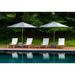 Rosecliff Heights Earls Reclining Teak Chaise Lounge Wood in White | 34.5 H x 29 W x 79 D in | Outdoor Furniture | Wayfair