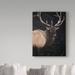 Trademark Fine Art 'Wapiti Portrait' Graphic Art Print on Wrapped Canvas Metal in Black/Brown/Green | 32 H x 24 W x 2 D in | Wayfair