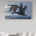 Trademark Fine Art Wilhelm Goebel 1990 Black Scoters - Wrapped Canvas Graphic Art Print Canvas in Blue/Brown/Gray | 12 H x 19 W x 2 D in | Wayfair