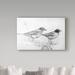 Trademark Fine Art 'Two Bird Study' Drawing Print on Wrapped Canvas in Black/Gray | 12 H x 19 W x 2 D in | Wayfair ALI33009-C1219GG