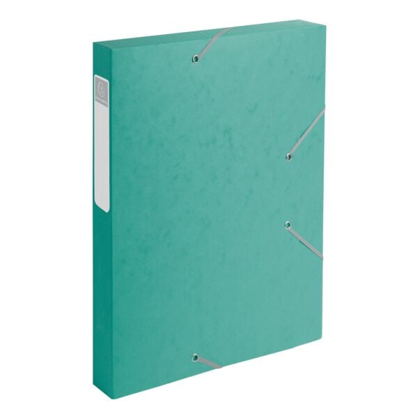 EXACOMPTA Archivbox »Cartobox« - 1 Stück grün, 2.5x32x24 cm