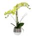 Vickerman 525135 - 19.5" Green Phalaenopsis in Metal Pot RT (FN180101) Home Office Flowers in Pots Vases and Bowls