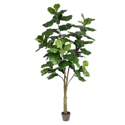 Vickerman 525616 - 7' Potted Fiddle Tree 89Lvs (TB180284) Generic Home Office Tree