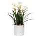 Vickerman 524671 - 16.5" White Daffodil in Ceramic Pot (FJ180301) Home Office Flowers in Pots Vases and Bowls