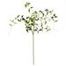 Vickerman 522592 - 43" Green Clematis Leaves Spray 3/Pk (FA187801) Home Office Picks and Sprays