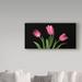 Trademark Fine Art 'Tulips 4' Graphic Art Print on Wrapped Canvas in Black/Green/Pink | 10 H x 19 W x 2 D in | Wayfair ALI34354-C1019GG