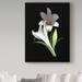 Trademark Fine Art 'Easter Lilies 3' by Graphic Art Print on Wrapped Canvas in Black/White | 24 H x 18 W x 2 D in | Wayfair ALI34507-C1824GG