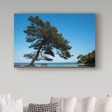Trademark Fine Art 'Tree at The Sea' Graphic Art Print on Wrapped Canvas in Blue/Green | 16 H x 24 W x 2 D in | Wayfair ALI36160-C1624GG