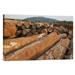 East Urban Home 'Logged Timber from the Tropical Rainforest, Cameroon' Photographic Print, Wood in Brown/Green | 16 H x 24 W x 1.5 D in | Wayfair