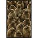 East Urban Home 'King Penguin Chicks, Gold Harbor, South Georgia, Antarctica' Photographic Print, Wood in Brown | 30 H x 20 W x 1.5 D in | Wayfair
