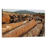 East Urban Home 'Logged Timber from the Tropical Rainforest, Cameroon' Photographic Print, Wood in White | 24 H x 36 W x 1.5 D in | Wayfair