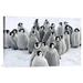 East Urban Home 'Emperor Penguin Chicks, Snow Hill Island, Antarctica' Photographic Print, Wood in Gray | 16 H x 24 W x 1.5 D in | Wayfair