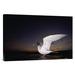 East Urban Home Swallow-Tailed Gull Departs at Dusk to Feed Far Offshore, Galapagos Islands - Wrapped Canvas Photograph Print Canvas, | Wayfair