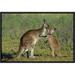 East Urban Home 'Eastern Gray Kangaroo Mother w/ Joey, Australia' Photographic Print, Wood in Brown/Green | 12 H x 18 W x 1.5 D in | Wayfair