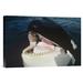 East Urban Home 'Orca Portrait, North America' Photographic Print, Wood in Blue/White | 12 H x 18 W x 1.5 D in | Wayfair URBP6133 41074939