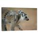 East Urban Home 'Ring-Tailed Lemur Baby Riding on Mother's Back, Vulnerable, Berenty Private Reserve, Madagascar' Photographic Print | Wayfair