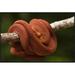 East Urban Home 'Common Tree Boa Coiled Around Branch, Iwokrama Rainforest Reserve, Guyana, Manipulated Image' Photographic Print, in White | Wayfair