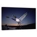 East Urban Home Swallow-Tailed Gull Departs at Dusk to Feed Far Offshore, Galapagos Islands - Wrapped Canvas Photograph Print Canvas, | Wayfair