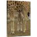 East Urban Home 'Rothschild Giraffe Calf Hiding Under Mother, Native to Africa' Photographic Print, Wood in White | 36 H x 24 W x 1.5 D in | Wayfair