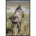 East Urban Home 'North Andean Huemul Buck Shedding Velvet, Pampa Galeras National Reserve, Peru' Photographic Print Canvas, in Brown | Wayfair