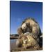 East Urban Home 'Galapagos Giant Tortoise Mating, Alcedo Volcano, Galapagos Islands, Ecuador' Photographic Print Canvas, in Blue/Brown | Wayfair