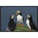 East Urban Home 'Atlantic Puffin Group Courting, Shetland Islands, Scotland' Photographic Print Canvas, in Black/Blue | Wayfair EAUB5517 38520544