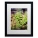 Trademark Fine Art Growth of the Forest Floor Framed Photographic Print Canvas, Wood in Green | 20 H x 16 W x 0.5 D in | Wayfair MFG0024-B1620MF