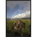 East Urban Home 'Galapagos Giant Tortoises Mating, Alcedo Volcano, Galapagos, Ecuador' Photographic Print Canvas, in Brown/Green | Wayfair