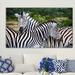 World Menagerie Zebra Stripes - Wrapped Canvas Photograph Print Canvas in White | 36 H x 60 W x 1.5 D in | Wayfair 5105B20D197B4BFD9F57B4E9CFF9E687