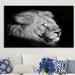 World Menagerie 'Lion Silhouette' Photographic Print on Wrapped Canvas in White | 36 H x 60 W x 1.5 D in | Wayfair 8397478F17C44435ABDF139F36056690