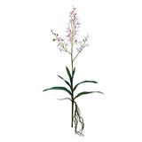 Vickerman 523391 - 30.5" Mini Pink/White Orchid Spray 3/Pk (FC180779) Home Office Flower Sprays