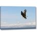 Millwood Pines 'AK, Homer Bald eagle in flight w/ upbeat wings' by Arthur Morris Giclee Art Print on Wrapped Canvas in Blue | Wayfair