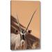 World Menagerie 'Namibia, Sossusvlei, Namib-Naukluft Park Oryx' by Wendy Kaveney Giclee Art Print on Wrapped Canvas in Brown | Wayfair