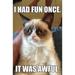Trends International Grumpy Cat - Fun Poster