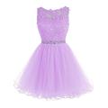 Promworld Women's Short Tulle Homecoming Dress Lace Cocktail Prom Graduation Gowns Lilac US8