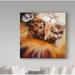 Trademark Fine Art 'Peek a Boo Kitten' Acrylic Painting Print on Wrapped Canvas in Orange | 14 H x 14 W x 2 D in | Wayfair ALI34635-C1414GG